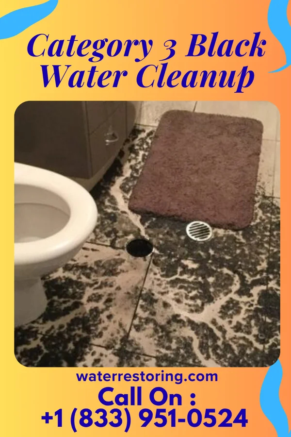 Category 3 Black Water Cleanup in Sundown, TX