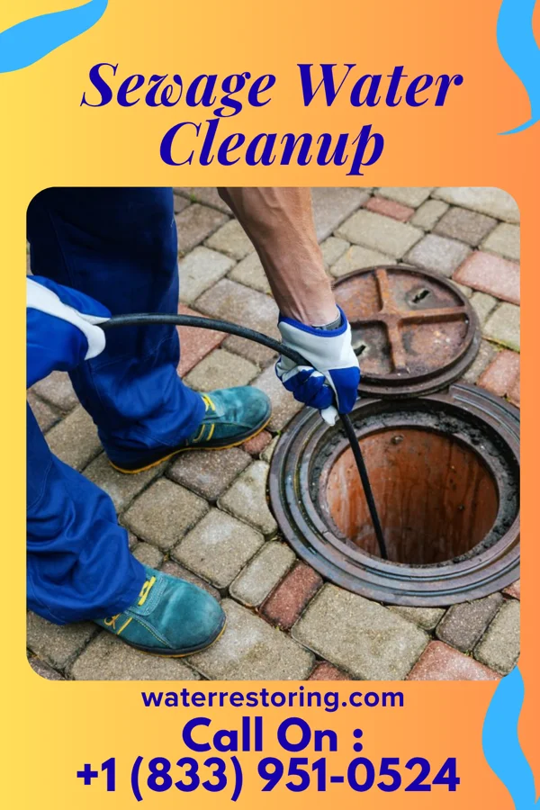 Sewage Water Cleanup in Sundown, TX